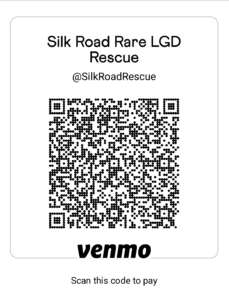 Donate with Venmo